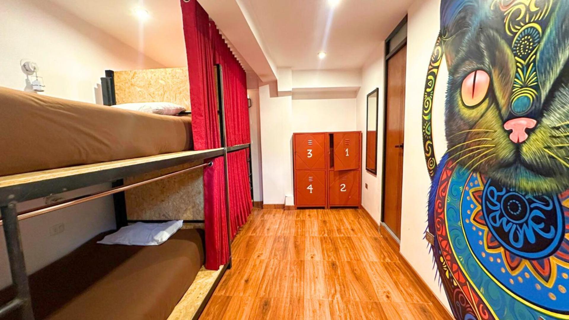 Magic Packer Hostel クスコ エクステリア 写真